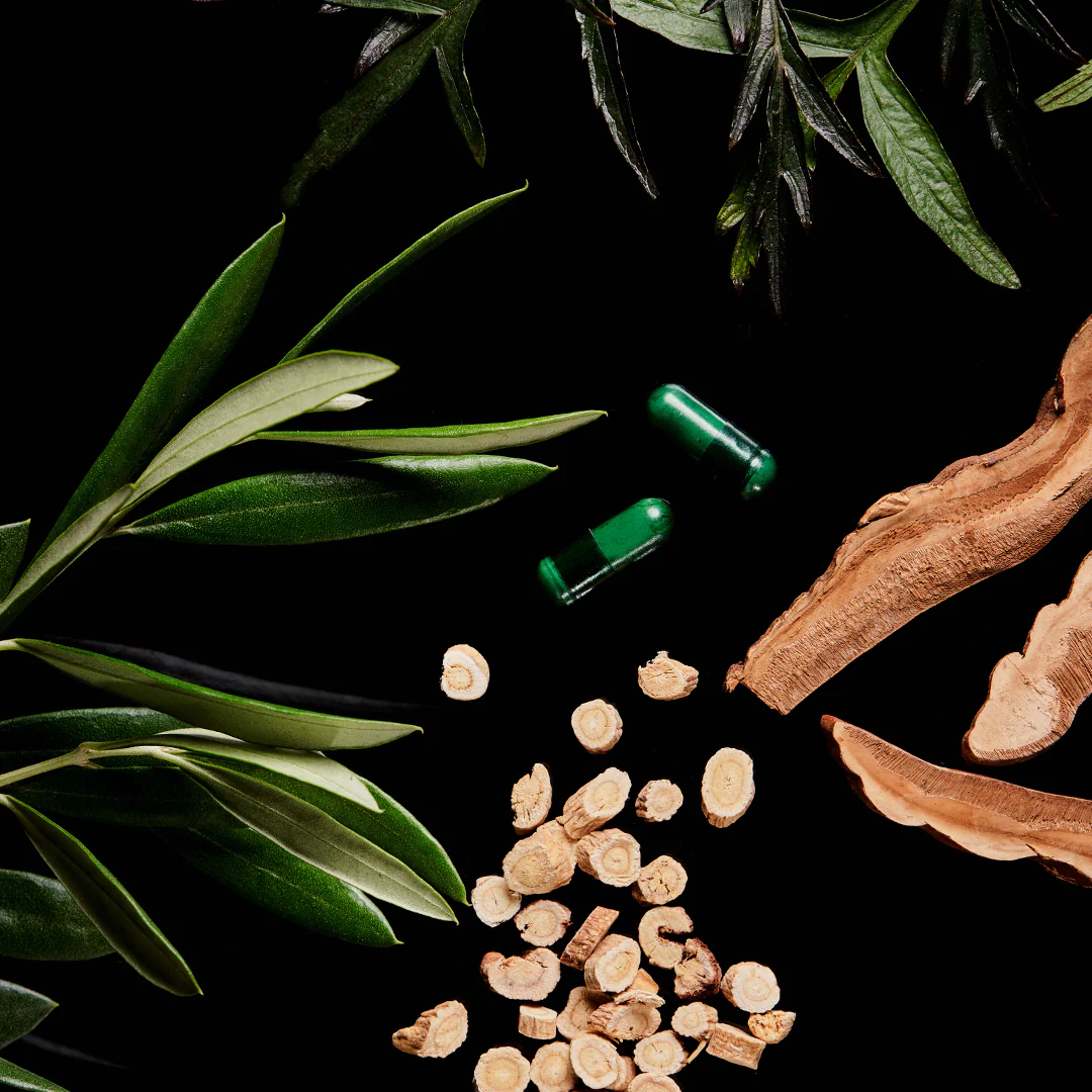 The Immune Elixir - Image 9